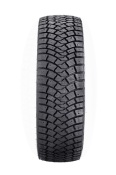 inga_suv_2
